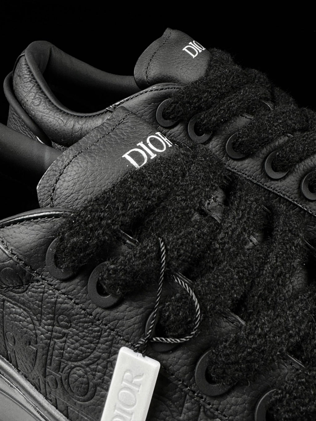 DIOR B33 LEATHER LOW TOP SNEAKER (Black)